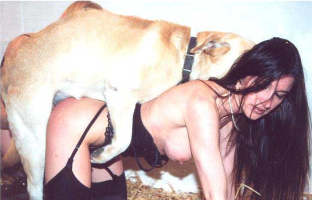 Bestial sex movie with dogs pics