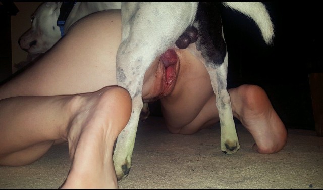 Классное зоо порно фото - хуек собаки вонзается в писечку - крупно
